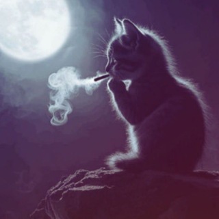 Логотип телеграм канала @search_frends — [Набор в адм] 🦇 𐙚 ֺ 𝘴𝘦𝘢𝘳𝘤𝘩 𝘧𝘳𝘪𝘦𝘯𝘥𝘴 𝘤𝘧