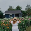 Логотип телеграм канала @seasonflowerfarm — Цветочная ферма в Смоленске
