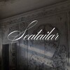 Логотип телеграм канала @seatailar — SEATAILAR