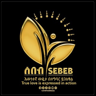 የቴሌግራም ቻናል አርማ sebeb11 — ሰበብ SEBEB