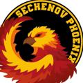Логотип телеграм канала @sechenovphoenix2023 — 🔥 Sechenov Phoenix 🔥
