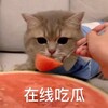 电报频道的标志 sechigua0 — 电报吃瓜#色情版