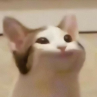 Логотип телеграм канала @second_vid — Второсортные видео 18 