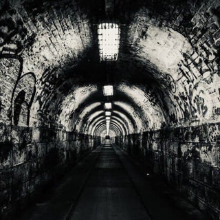 Логотип телеграм канала @secretnel — SECRET_TUNNEL