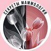 Логотип телеграм канала @secrets_mammology — Секреты маммологии