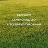 Логотип телеграм канала @seedsinrussia — Семеноводство в России 🇷🇺
