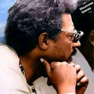 Logo des Telegrammkanals seenaa_gootootaa - SEENAA_GOOTOOTAA