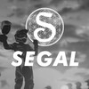 Логотип телеграм канала @segalmoto — SEGAL MOTO МАСЛА