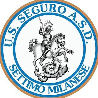 Logo del canale telegramma segurocalcio - Seguro Calcio