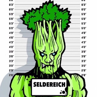 Логотип телеграм канала @seldereich — seldereich