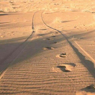 لوگوی کانال تلگرام selefs_footstep — ·•● የሰለፎች ኮቴ ●•·