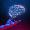 Логотип телеграм канала @self_development56 — Саморазвитие I Образование