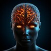 Логотип телеграм канала @self_education_everyday — Психология саморазвитие аффирмации