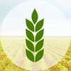 Логотип телеграм канала @selhoz_agroprom — Сельхоз и агропром | Сельское хозяйство и пищевая промышленность России (агробизнес, крестьянское фермерское хозяйство, КФХ)