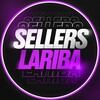 Логотип телеграм канала @sellerlariba — Бизнес на Wildberries | Seller LaRiba