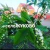 Логотип телеграм канала @selo_zhukovo — Село Жуково - Уфимский район
