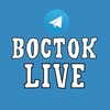 Логотип телеграм канала @selovostoklive — Восток Live