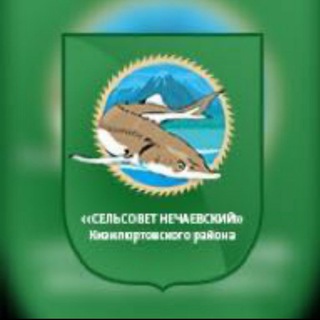 Логотип телеграм канала @selsovet_nechaevskiy — Сельсовет Нечаевский