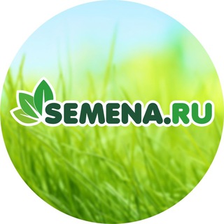 Логотип телеграм канала @semena_ru — Semena.ru