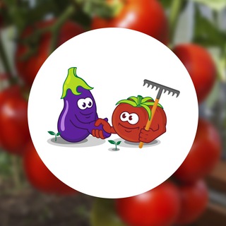 Логотип телеграм канала @semenapartner — Интернет-магазин semena-partner.ru