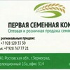 Логотип телеграм канала @semennaya — Первая Семенная Компания