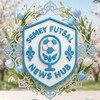 Логотип телеграм канала @semeyfutsalnewshub — SFNH - Semey Futsal News Hub