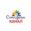 Логотип телеграм канала @semitsvetik_25_bataysk — СЕМИЦВЕТИК МБ ДОУ 25