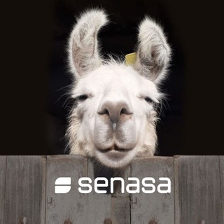 Logotipo del canal de telegramas senasaar - Senasa Argentina