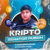 Logo of telegram channel senator_kripto — Senator Kripto