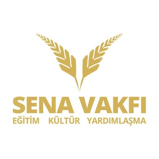 Telgraf kanalının logosu senavakfi — SENA VAKFI
