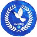 لوگوی کانال تلگرام seniofagr — فجر 🕊