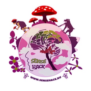 Логотип телеграм канала @sensehack — Sense Hack | Грибной микродозинг | Мухоморы купить