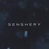 Логотип телеграм канала @senshery — senshery