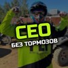 Логотип телеграм канала @seobeztormozov — СЕО без тормозов | Андрей Бородин