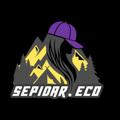 电报频道的标志 sepidareco — Sepidar.eco