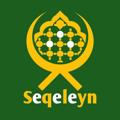 Logo saluran telegram seqeleyn — Seqeleyn