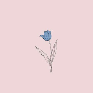Логотип телеграм канала @serbinaduk — Красота в деталях🦋
