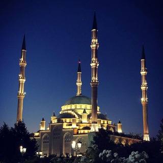 Логотип телеграм канала @serdce_chechni_ru — Мечеть "Сердце Чечни"