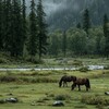 Логотип телеграм канала @serdce27 — Ꮯʙᴇᴛ дуɯи | Иᴄᴧᴀʍ