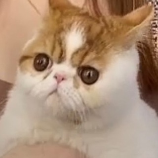 Логотип телеграм канала @serezha_omgg — Сережа ОМГ