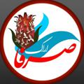 لوگوی کانال تلگرام serfanarak — کانال صرفا اراک