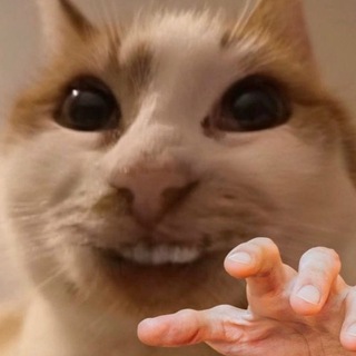 Логотип телеграм канала @sergsaves — Серж схоронил♾