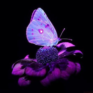 Логотип телеграм канала @serialloww — Сериалы || Миротворец|Лунный Рыцарь|