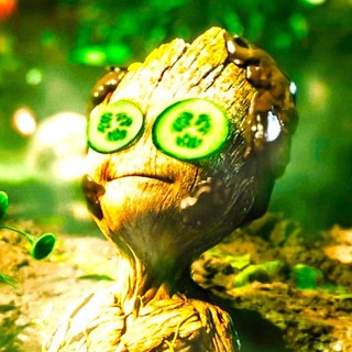 Логотип телеграм канала @serialy_novinki_smotret — КИНАЧ 🎬 Только премьеры кино