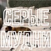 Логотип телеграм канала @sermudni — СЕРЫЕ | MUDNI