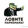 Логотип телеграм канала @serpom_po_beytsalam — Серпом по яйцам