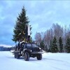 Логотип телеграм канала @servisbisofficial — Сервис БиС питомник деревьев