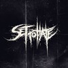 Лагатып тэлеграм-канала set_to_hate — Set To Hate (Groove Metal, Metalcore/Deathcore)