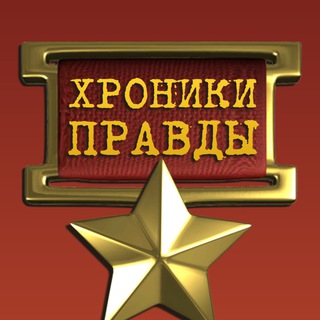 Логотип телеграм канала @setevaya_xronika — СЕТЕВАЯ 🎖 ХРОНИКА