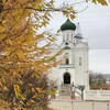 Логотип телеграм канала @seti_49 — Сети 49